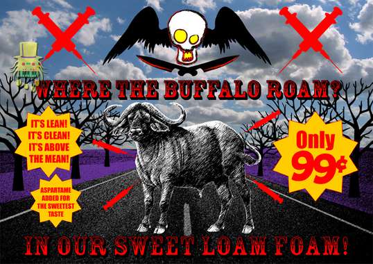 where the buffalo roam web.jpg
