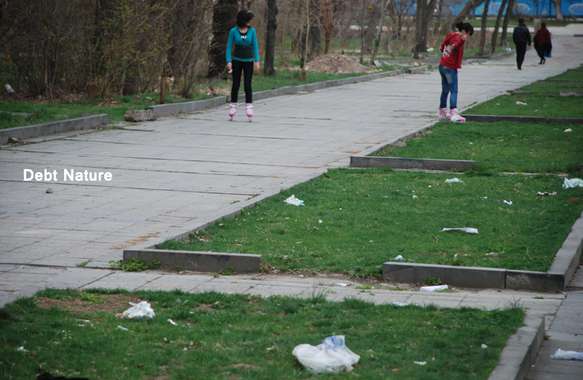 Debt Nature