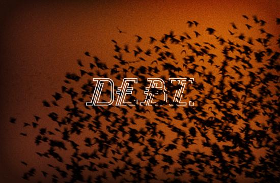 blogs/Debt_birds_01_2.jpeg